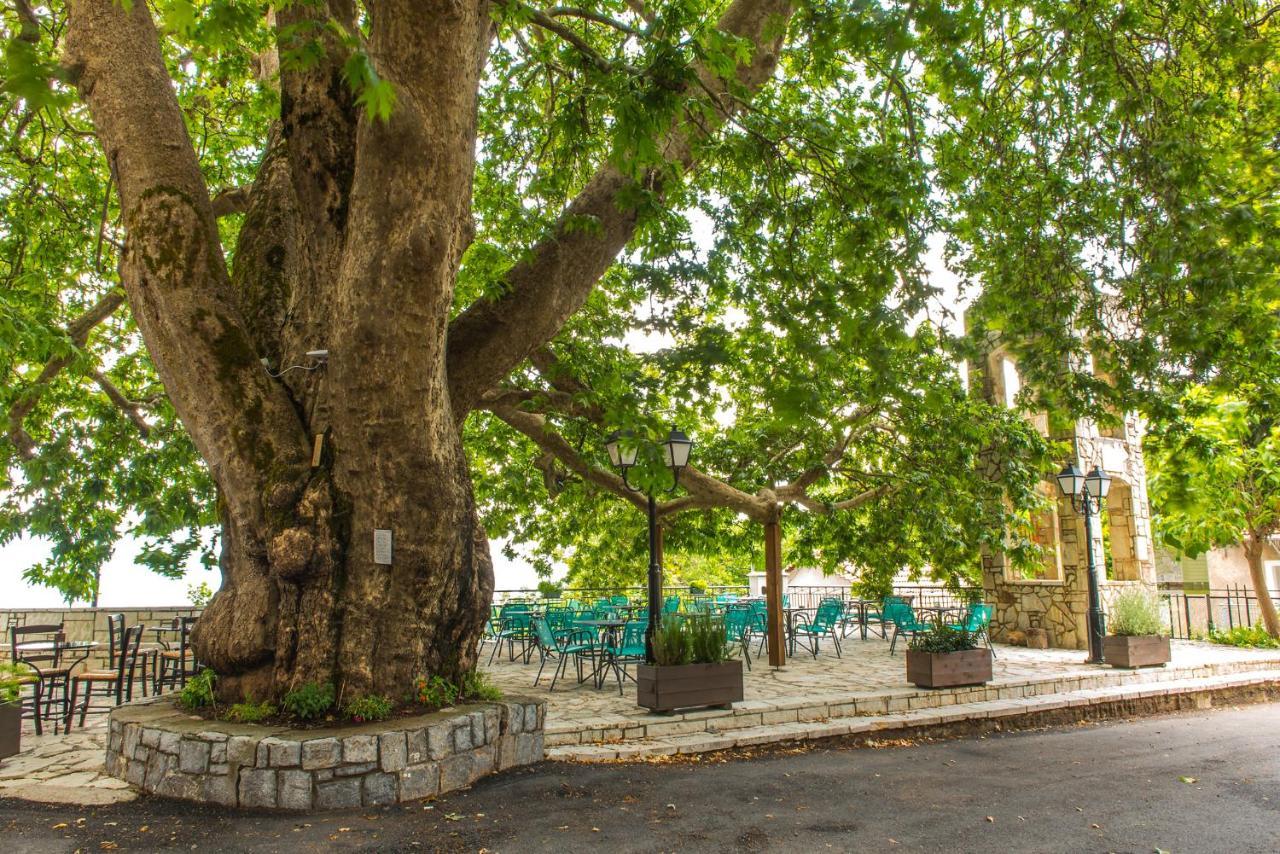 «Σκλάβας Χνάρι» Παραδοσιακός Ξενώνας Apartman Magouliana Kültér fotó